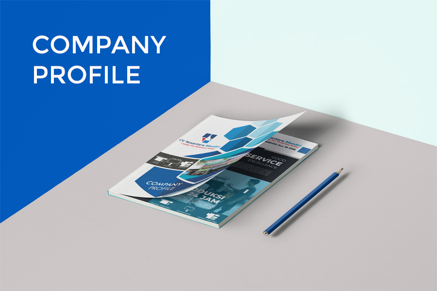 portfolio-company profile